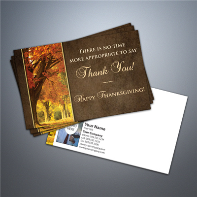 Thanksgiving - Thank You 1 Postcard