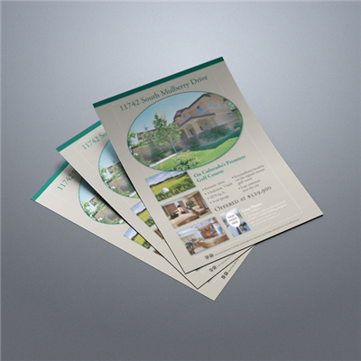Property Flyer 011 (Taupe)