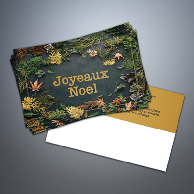 HOLIDAY 006 Joyeaux Postcard