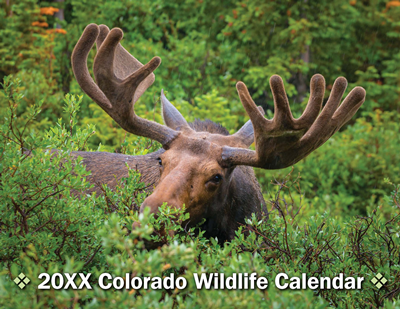 CO Wildlife Wall Calendar, Large